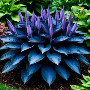 Хоста Сикрет Гров купить по цене от 570р. в интернет-магазине «Посадика» с доставкой почтой в в Ковылкиное и по всей России – [изображение №1].